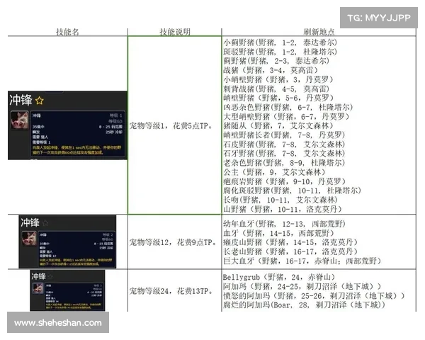 魔兽世界猎人宝宝快速升级攻略 魔兽世界猎人宝宝快速升级攻略