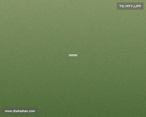 搏鱼大师怎么样